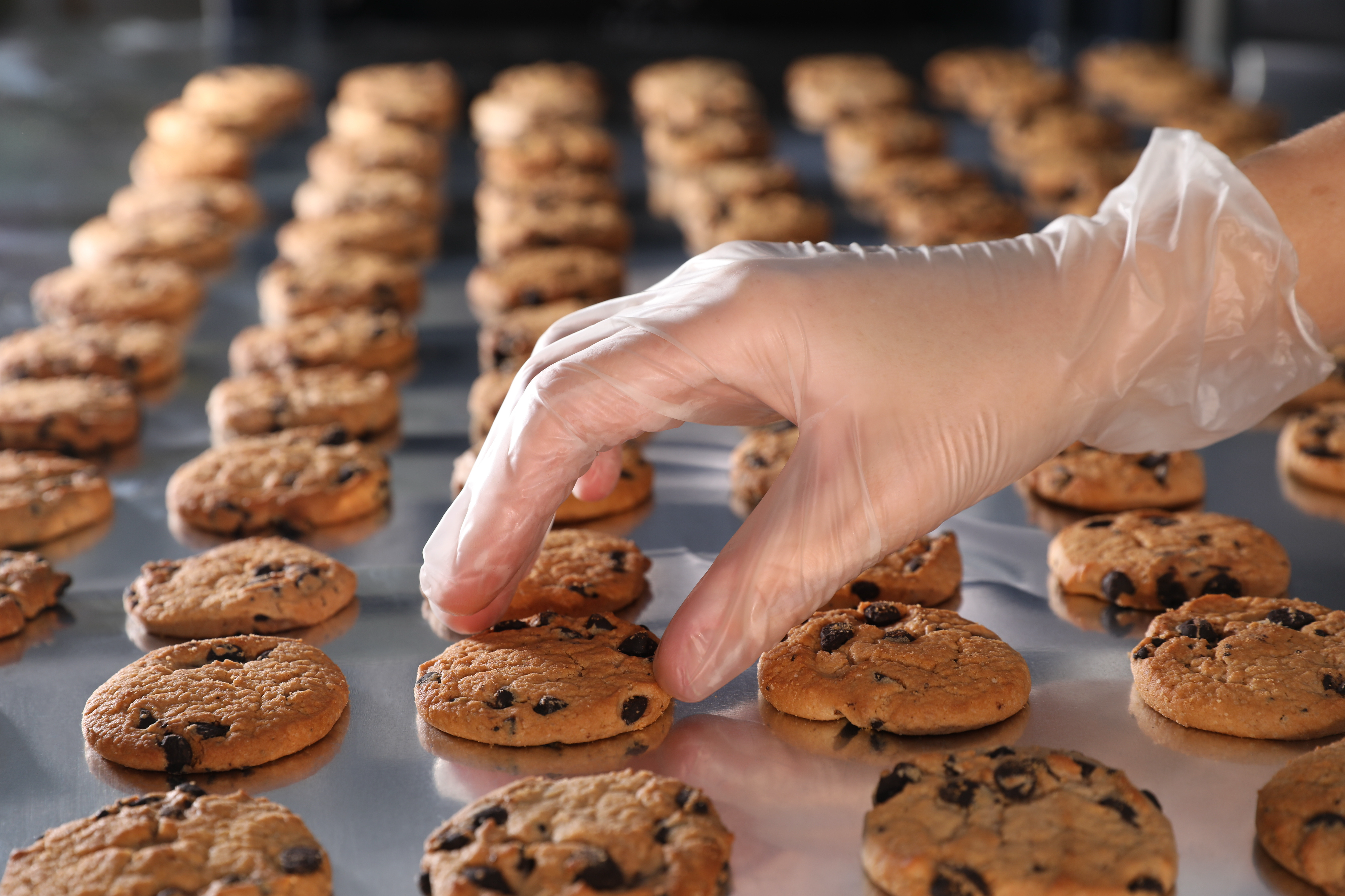 Koekjes op een lopende band in de fabriek